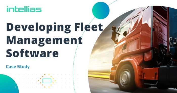 Developing Fully Fledged Fleet Tire Management Software