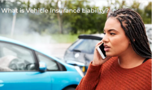 What is Vehicle Insurance Liability?
