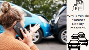 Why is Vehicle Insurance Liability Important?